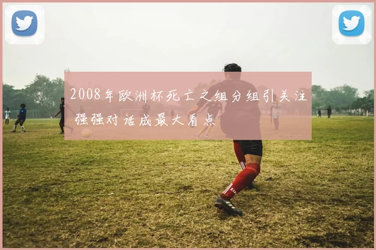 2008年欧洲杯死亡之组分组引关注 强强对话成最大看点