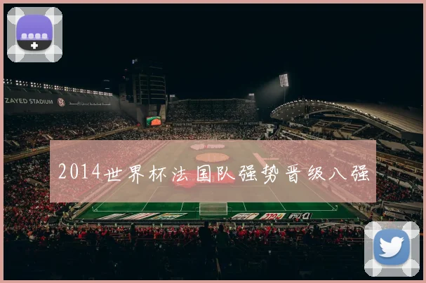 2014世界杯法国队强势晋级八强