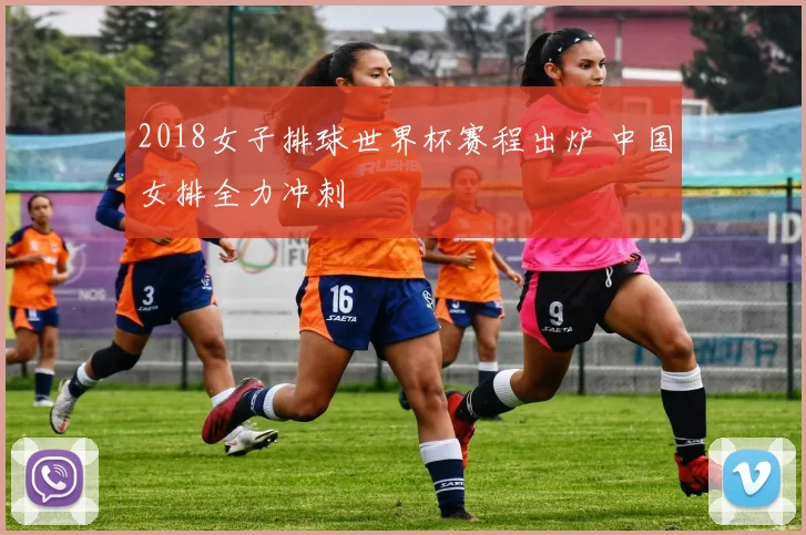 2018女子排球世界杯赛程出炉 中国女排全力冲刺