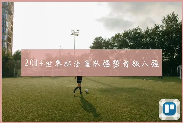 2014世界杯法国队强势晋级八强