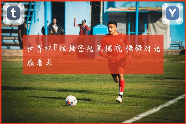 世界杯F组抽签结果揭晓 强强对话成看点