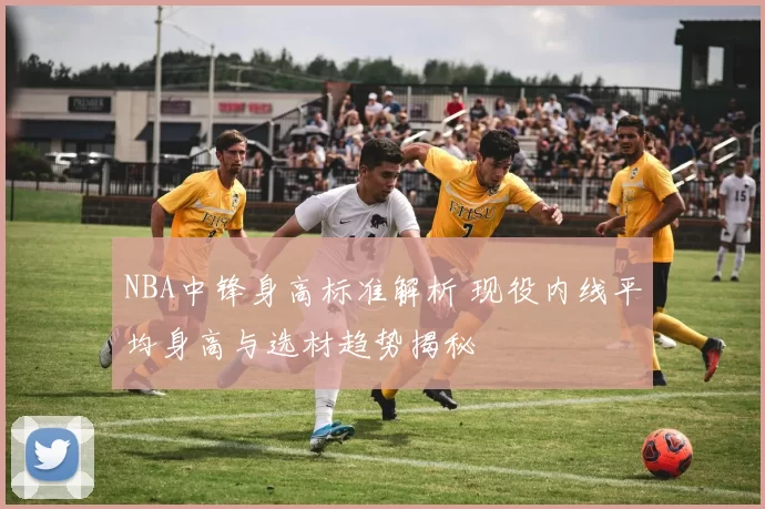 NBA中锋身高标准解析 现役内线平均身高与选材趋势揭秘