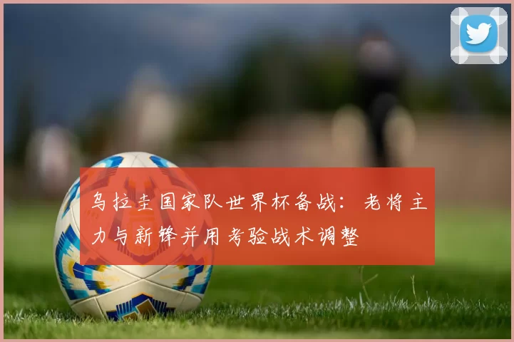 乌拉圭国家队世界杯备战：老将主力与新锋并用考验战术调整