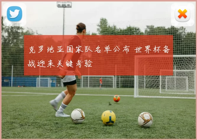克罗地亚国家队名单公布 世界杯备战迎来关键考验